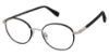 Picture of Canali Eyeglasses 311