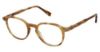 Picture of Canali Eyeglasses 314