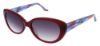 Picture of Steve Madden Sunglasses PRIMPPED