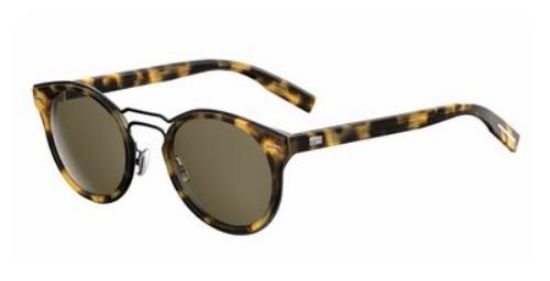 Picture of Dior Homme Sunglasses 0209/S
