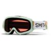 Picture of Smith Snow Goggles GAMBLER