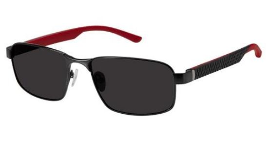 Picture of Champion Sunglasses FL6003