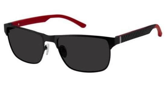 Picture of Champion Sunglasses FL6002