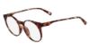 Picture of G-Star Raw Eyeglasses GS2648 GSRD LORIN