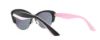Picture of Dior Sunglasses ENVOL 1/S