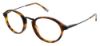 Picture of Izod Eyeglasses 2063