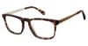 Picture of Sperry Eyeglasses CAROVA