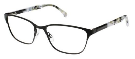 Picture of Cvo Eyewear Eyeglasses CLEARVISION SANTA MONICA