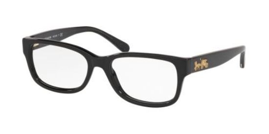 Picture of Coach Eyeglasses HC6133F