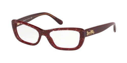 Picture of Coach Eyeglasses HC6135