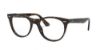 Picture of Ray Ban Eyeglasses RX2185V