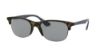 Picture of Ray Ban Sunglasses RB4419