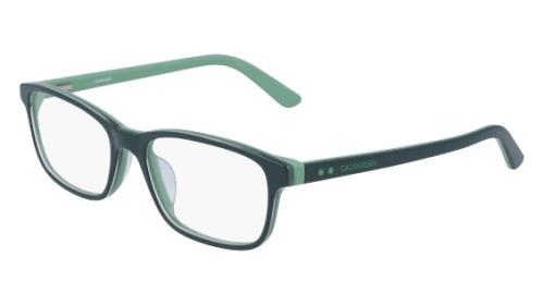 Picture of Calvin Klein Eyeglasses CK19507