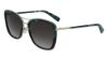 Picture of Longchamp Sunglasses LO639SL