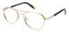 Picture of Steve Madden Eyeglasses TRICKSSTER