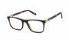 Picture of Chopard Eyeglasses VCH217V