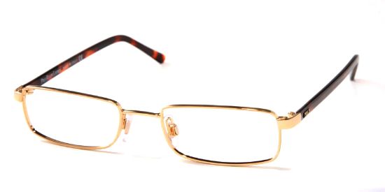 Picture of Polo Eyeglasses PH1012