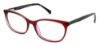 Picture of Cvo Eyewear Eyeglasses CLEARVISION FINCH PARK