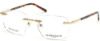 Picture of Marcolin Eyeglasses MA3021