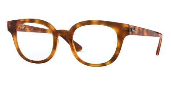 Picture of Ray Ban Eyeglasses RX4324V