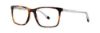 Picture of Penguin Eyeglasses THE STRATTON