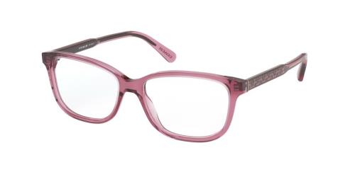 Picture of Coach Eyeglasses HC6143F