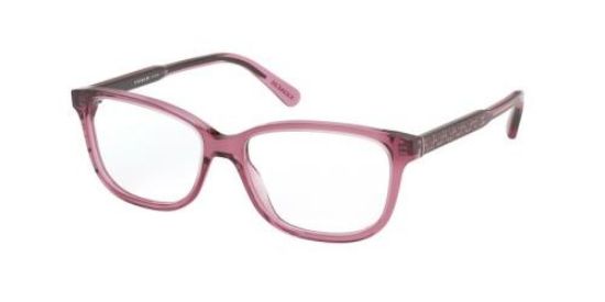 Coach Eyeglasses HC6143