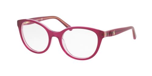 Picture of Polo Eyeglasses PP8535