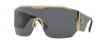 Picture of Versace Sunglasses VE2220