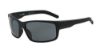 Picture of Arnette Sunglasses AN4202
