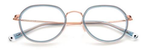 Picture of Paradigm Eyeglasses 19-11