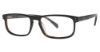Picture of Randy Jackson Eyeglasses 3013