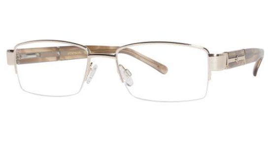 Picture of Stetson Eyeglasses 290