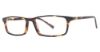 Picture of Stetson Eyeglasses 309