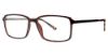 Picture of Stetson Eyeglasses 336