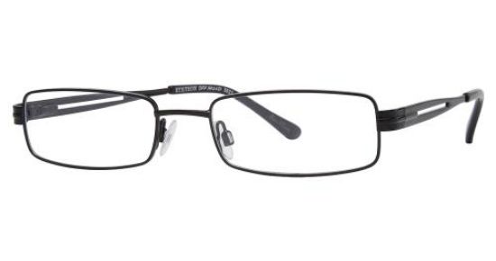Picture of Stetson Off Road Eyeglasses 5021
