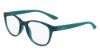Picture of Calvin Klein Eyeglasses CK19572