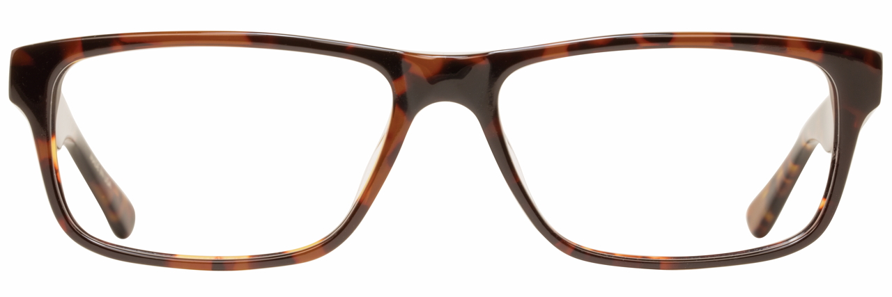 Picture of Alan J Eyeglasses AJ-108