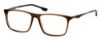 Picture of New Balance Eyeglasses NB 516