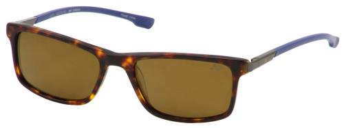 Picture of New Balance Sunglasses NB 6013