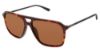 Picture of Champion Sunglasses COOLIT