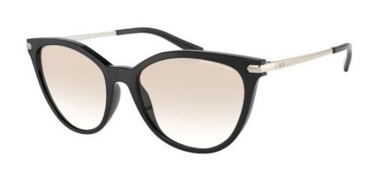 Picture of Armani Exchange Sunglasses AX4107S