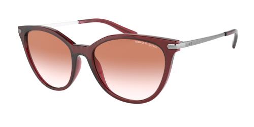 Picture of Armani Exchange Sunglasses AX4107S