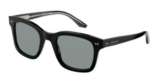 Giorgio Armani Sunglasses AR8138
