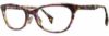 Picture of State Optical Eyeglasses Briar Global Fit