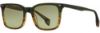 Picture of State Optical Sunglasses Franklin