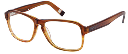 Picture of Gant Rugger Eyeglasses GR HOLLIS