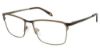 Picture of Champion Eyeglasses SNAP