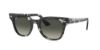 Picture of Ray Ban Sunglasses RB2168