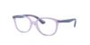 Picture of Ray Ban Jr Eyeglasses RY1598